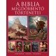 A Biblia megdöbbentő történetei     14.95 + 2.95 Royal Mail